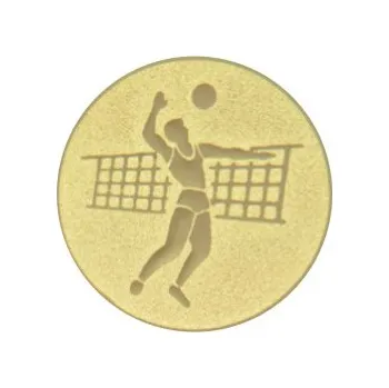 emblém volejbal muži 005