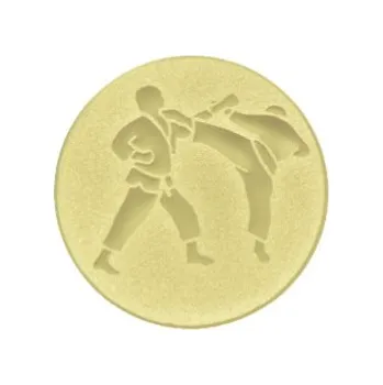 emblém karate 029