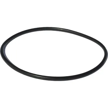 Marimex 10604196 Těsnění pod víčko předfiltru Prostar