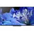Televizor Sony 55" OLED (KD55AF8BAEP)