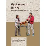 Vystavování je hra: Jak připravit na…