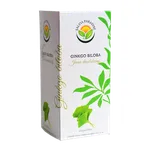 Salvia Paradise Ginkgo biloba n. s. 20…