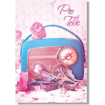 DOPRODEJ Ditipo Hrací přání VĚNOVÁNÍ / Lenka Filipová