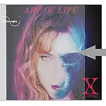 Analogis vnější obaly