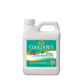 Absorbine Cool Down 946 ml