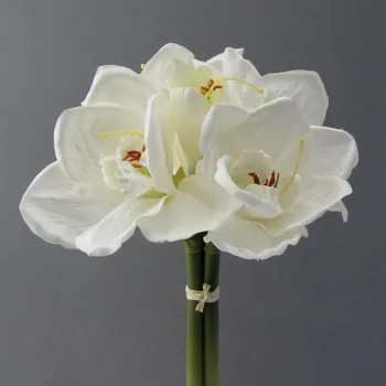 Pánské ponožky Amarylis 103574-40 béžová