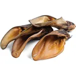 Dr. Jag Hovězí ucho sušené 1 ks