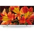 Televizor Sony 75" LED (KD-75XF8596)