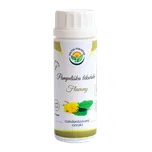 Salvia Paradise pampeliška lékařská…