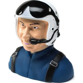 Extra 300 1,3m: Pilot