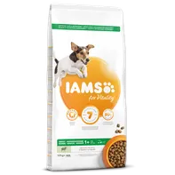 IAMS Dog Adult Small & Medium Lamb