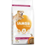 IAMS Dog Senior Large Chicken