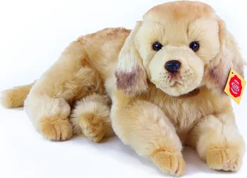 Plyšová hračka Rappa pes zlatý retrívr ležící 32 cm