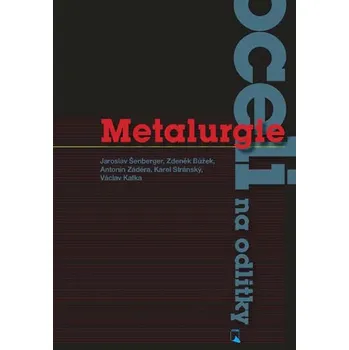 Technika Metalurgie oceli na odlitky - Jaroslav Šenberger a kol. (2008, pevná)