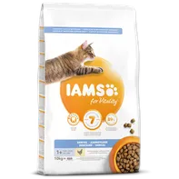 Iams Cat Adult DNTL Chicken 10 kg