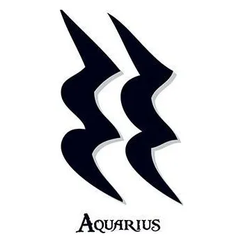 Odstranitelné tetování Znamení Vodnáře - nalepovací tetování