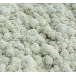 Mechdekor Polarmoss finský sobí mech…