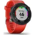 Sporttester Garmin Forerunner 45 Optic Red