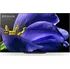 Televizor Sony Bravia 55" OLED (KD-55AG9) 