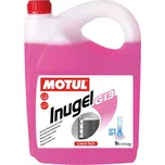 Motul Inugel G13 -37°C 5 l