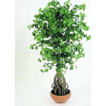 umělá květina Luxusní umělý strom SWEET GINGKO ROOT STROM, 170 cm