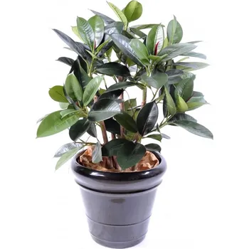 umělá květina Luxusní umělý strom Ficus Elastica Bush, 90cm