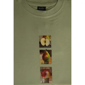 Chlapecké tričko Dětské tričko PO-2035, krátký rukáv, khaki, vel. 122