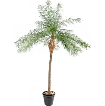 umělá květina Luxusní umělá palma PHOENIX, 190cm