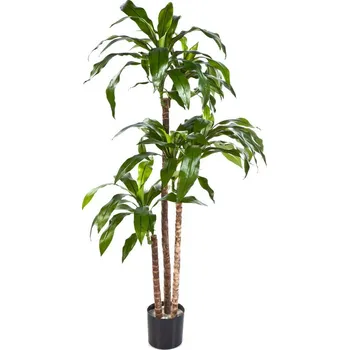 umělá květina Luxusní umělá palma DRACAENA FRAGRANS STEUD, 150 cm
