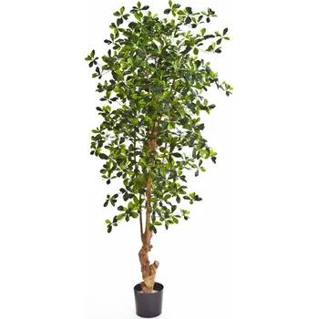 umělá květina Luxusní umělý strom FOREST BLACK OLIVOVER, 180 cm