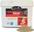 Horse Master Best Hoof 1 kg