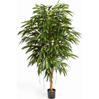 umělá květina Luxusní umělý strom ROYAL LONGIFOLIA STROM, 210 cm