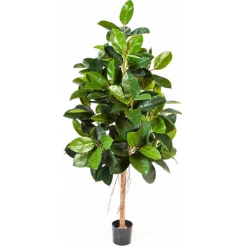 umělá květina Luxusní umělý strom FICUS ELASTICA, 210 cm