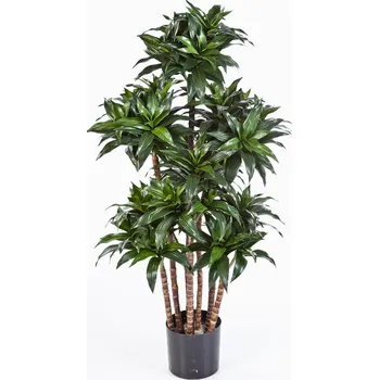 umělá květina Luxusní umělá palma DRACAENA FRAGRANS COMPACT, 120 cm
