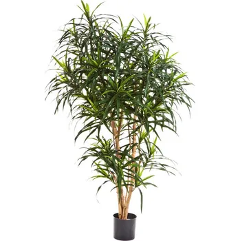 umělá květina Luxusní umělá palma DRACAENA REFLEXA ANITA STROM, 120 cm