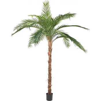 umělá květina Luxusní umělá palma PHOENIX CANARIENSIS palma, 370cm