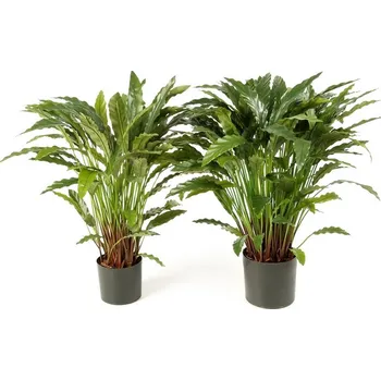 umělá květina Luxusní umělá květina CALATHEA X 123 S KVĚTINÁČEM, 86 cm