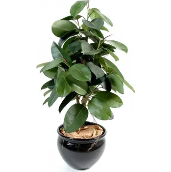 umělá květina Luxusní umělý strom Fíkus Elastica, 110cm