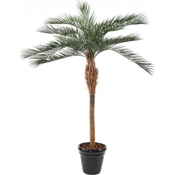 umělá květina Luxusní umělá palma PHOENIX PLAST palma, 290cm