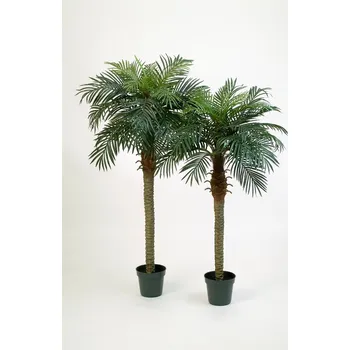 umělá květina Luxusní umělá palma PHOENIX PALMA S KVĚTINÁČEM, 150 cm
