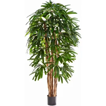 umělá květina Luxusní umělá palma RAPHIS PALMA STROM, 210 cm