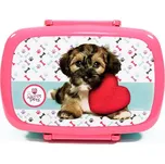 Beniamin Box na svačinu 18 x 13 x 6 cm