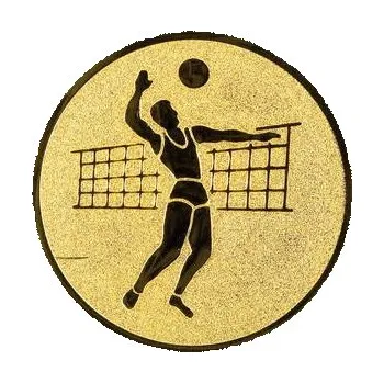 Emblém volejbalista - Průměr: 5cm