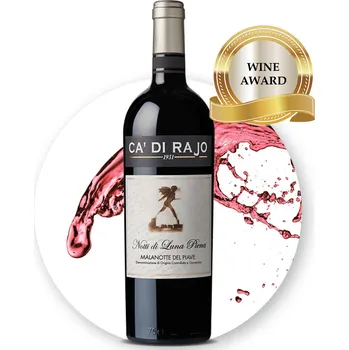 Víno Ca di Rajo Raboso Notti di Luna DOCG Malanotte del PIave 2017 objem: 0,75L Vynikající ročníkové víno