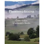 Přenesená krajina - Pavel Kovář (2019, pevná)