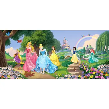 Fototapeta vliesová Disney Princess 202x90cm FTDN H 5378
