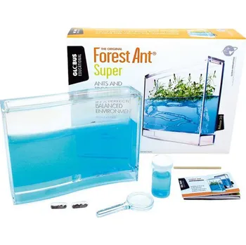 Mravenčí farma Navir Forest Ant Ecoterrarium