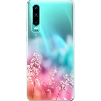Pouzdro na mobilní telefon Silikonové pouzdro iSaprio - Huawei P30 - Duhová Tráva (Odolný silikonový kryt, obal, pouzdro iSaprio - Huawei P30 - Duhová Tráva - skvělá ochrana a pružnost, stylový UV potisk, lehkost, tiskne se v České republice)