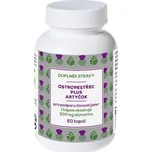 Naturvita Ostropestřec + Artyčok 60 kapslí