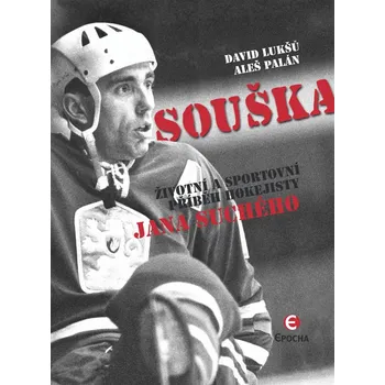 vázaná s přebalem , 145 x 205 mm, 304 stran + fotopříloha